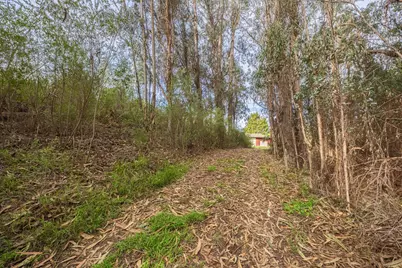 19260 Pioneer Pl, Aromas, CA 95004 - Photo 10