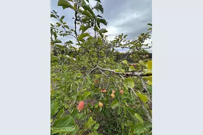 Valley View Dr, Corralitos, CA 95076 - Photo 54