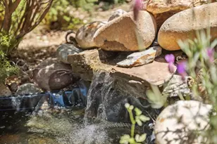 1495 Dons Rd, Boulder Creek, CA 95006 - Photo 30