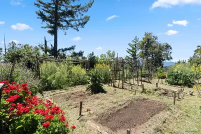 1495 Don's Rd, Boulder Creek, CA 95006 - Photo 36