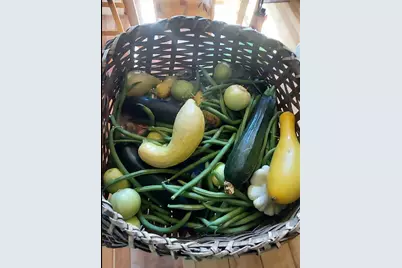 1495 Don's Rd, Boulder Creek, CA 95006 - Photo 34