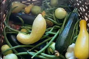 1495 Dons Rd, Boulder Creek, CA 95006 - Photo 34