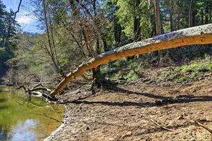 265 Brown Gables Rd 11, Ben Lomond, CA 95005 - Photo 50
