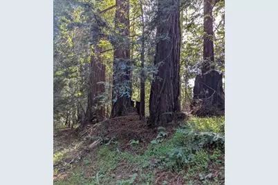 8055 Glen Haven Rd, Soquel, CA 95073 - Photo 4