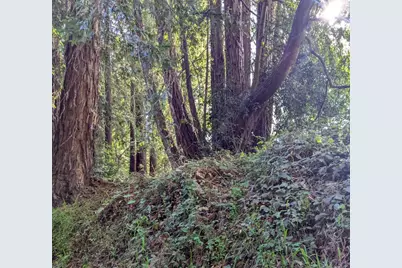 8055 Glen Haven Rd, Soquel, CA 95073 - Photo 6