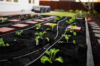 31 Deerfield Dr, Scotts Valley, CA 95066 - Photo 102