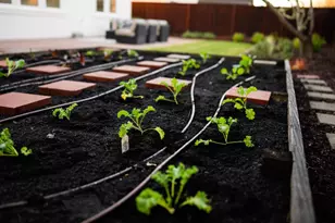 31 Deerfield Dr, Scotts Valley, CA 95066 - Photo 102