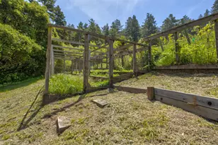 5090 La Honda Rd, San Gregorio, CA 94074 - Photo 28