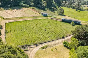 5090 La Honda Rd, San Gregorio, CA 94074 - Photo 42