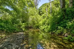 5090 La Honda Rd, San Gregorio, CA 94074 - Photo 24