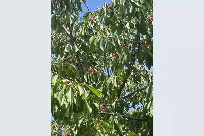 1723 Pheasant Dr, Hercules, CA 94547 - Photo 32