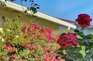 3279 Cuesta Dr, San Jose, CA 95148 - Photo 6