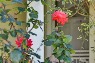 3279 Cuesta Dr, San Jose, CA 95148 - Photo 46