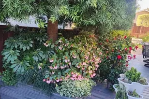 22014 Baxley Ct, Cupertino, CA 95014 - Photo 60