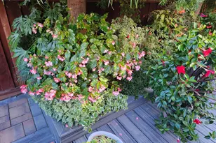 22014 Baxley Ct, Cupertino, CA 95014 - Photo 58