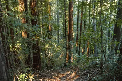 0 Country Club Dr, Ben Lomond, CA 95005 - Photo 2