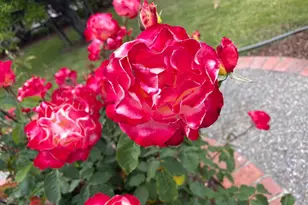 2560 Elliot Ct, Santa Clara, CA 95051 - Photo 70