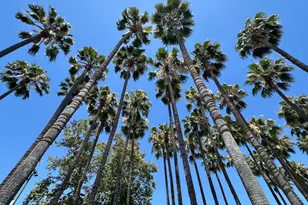 88 Bush St 3163, San Jose, CA 95126 - Photo 42