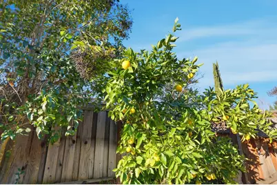 1272 Chelsea Way, Concord, CA 94521 - Photo 34