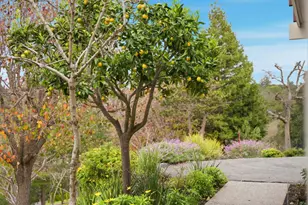 27769 Edgerton Rd, Los Altos Hills, CA 94022 - Photo 54