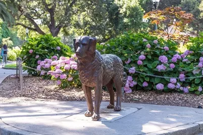 111 9th Ave 105, San Mateo, CA 94401 - Photo 52