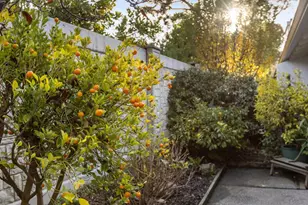 2445 Sharon Oaks Dr, Menlo Park, CA 94025 - Photo 18