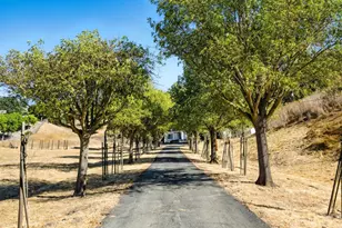 6650 Johnston Rd, Pleasanton, CA 94588 - Photo 62