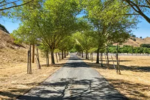 6650 Johnston Rd, Pleasanton, CA 94588 - Photo 60