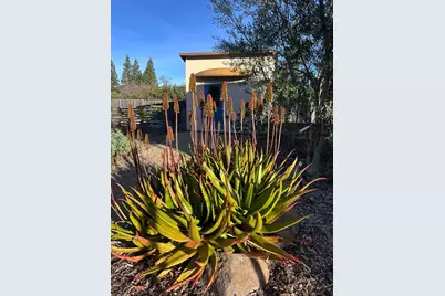 15393 Via Caballero, Monte Sereno, CA 95030 - Photo 22