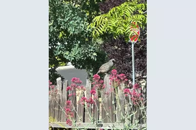 15393 Via Caballero, Monte Sereno, CA 95030 - Photo 28