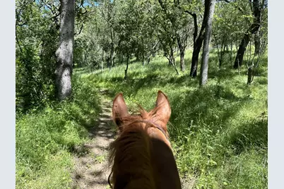 15393 Via Caballero, Monte Sereno, CA 95030 - Photo 36