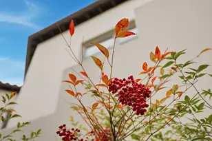 141 W 3rd Ave, San Mateo, CA 94402 - Photo 4