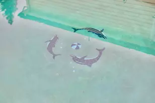 6329 Cooper St, Felton, CA 95018 - Photo 22