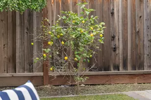 357 Sunnyslope Dr, Fremont, CA 94536 - Photo 24