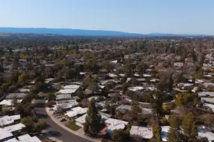 3773 Redwood Cir, Palo Alto, CA 94306 - Photo 58