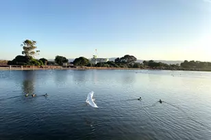 3773 Redwood Cir, Palo Alto, CA 94306 - Photo 74