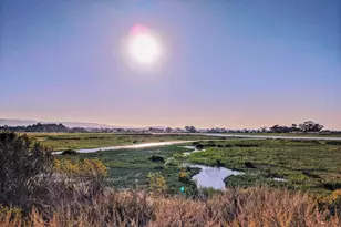 225 W Meadow Dr, Palo Alto, CA 94306 - Photo 64