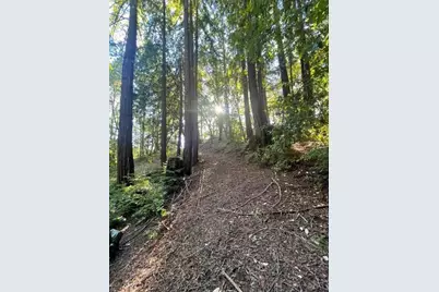 00 Love Creek, Ben Lomond, CA 95005 - Photo 4