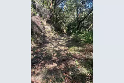 00 Love Creek, Ben Lomond, CA 95005 - Photo 10