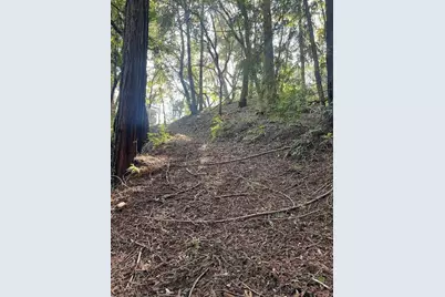 00 Love Creek, Ben Lomond, CA 95005 - Photo 8