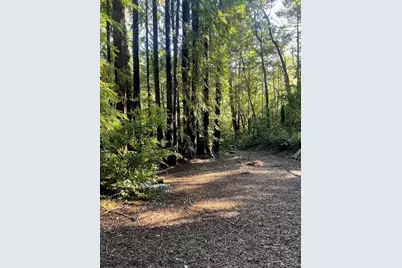 00 Love Creek, Ben Lomond, CA 95005 - Photo 14