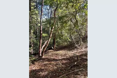 00 Love Creek, Ben Lomond, CA 95005 - Photo 12