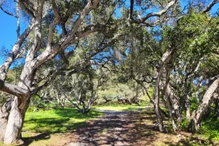 14641 Tumbleweed Ln, Royal Oaks, CA 95076 - Photo 8