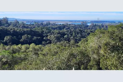 14643 Tumble Weed Ln, Royal Oaks, CA 95076 - Photo 4