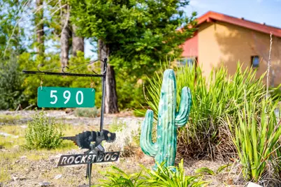 590 Pineridge Rd, Santa Cruz, CA 95060 - Photo 60