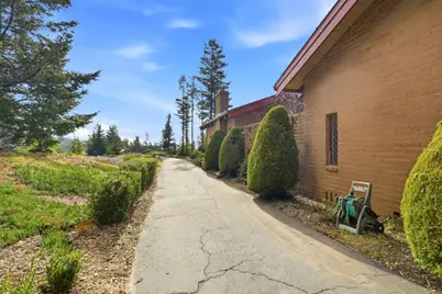 590 Pineridge Rd, Santa Cruz, CA 95060 - Photo 6