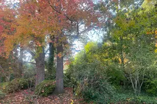 269 Selby Ln, Atherton, CA 94027 - Photo 32