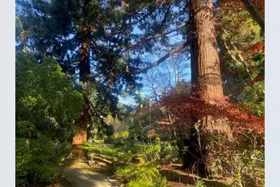 269 Selby Ln, Atherton, CA 94027 - Photo 24