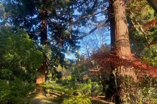 269 Selby Ln, Atherton, CA 94027 - Photo 24