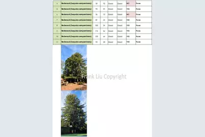 269 Selby Ln, Atherton, CA 94027 - Photo 48